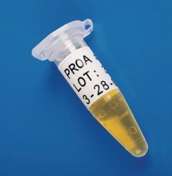 Labels for BMP™21 Hand-held label printer