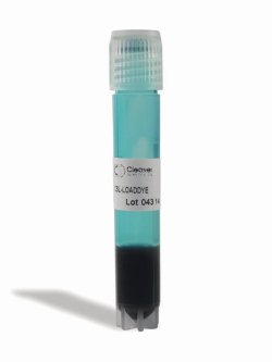 DNA Loading Dyes
