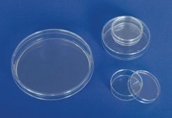 Petri dishes, PS