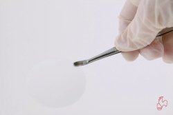 Membrane Filters, cellulose acetate, non sterile