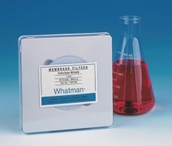 Membrane Filters, Cellulose nitrate, WCN