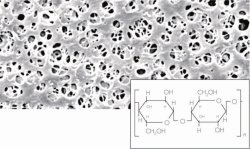 Membrane filters, regenerated cellulose