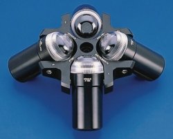 Rotors and accessories for Biofuge primo / primo R