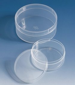 Containers, PP, with lids