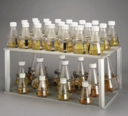 Universal Platform for MaxQ Shaker
