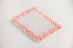 96-well plate Nunc™ Edge 2.0, with flat bottom, PS