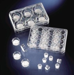 Cell Culture Inserts and Carrier Plates, PC, sterile