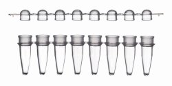 LLG-PCR-Tubes, 8 Strips, PP