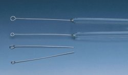 Inoculation loops, platinum-iridium