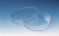 Petri dishes, PS