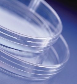 Petri Dishes Sterilin™, Ø 90 mm, PS