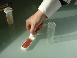 Microbiological Rapid Tests 3M™ Dipslides