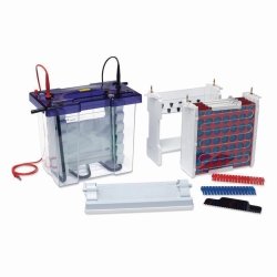 Gel electrophoresis tank VS20 Wave Maxi