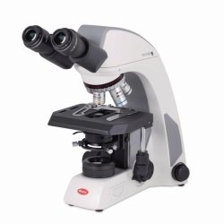 Light Microscope Panthera L