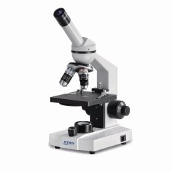 Light Microscopes Educational-Line Basic OBS